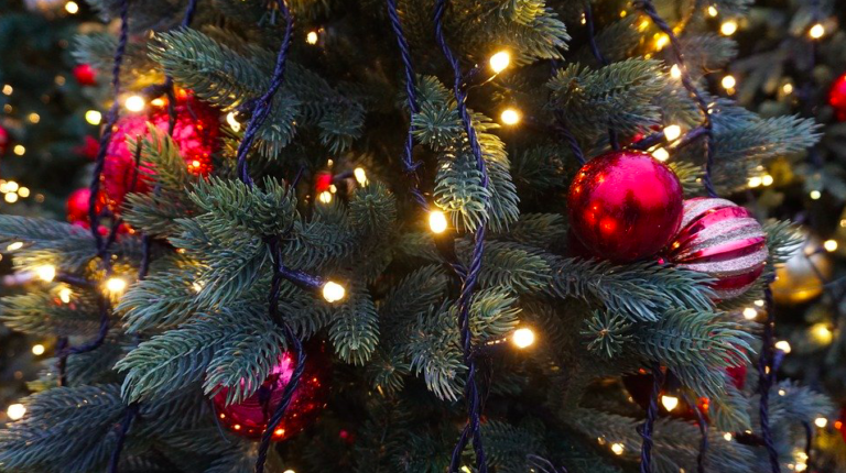The Netherlands: land of the tall, except for the Christmas trees