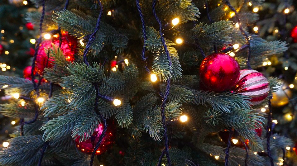 Close-up photo of a Christmas tree with lights and red ornaments on it.