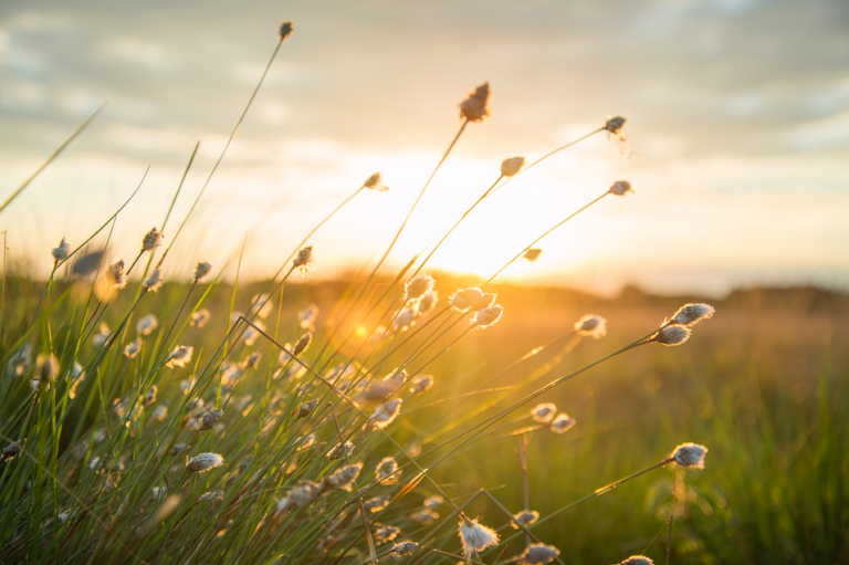 Blustery, changeable week ahead for the Netherlands