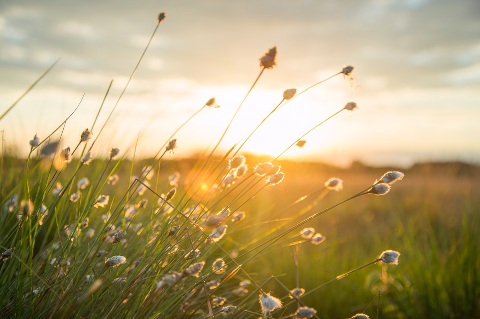 spring weather pictures