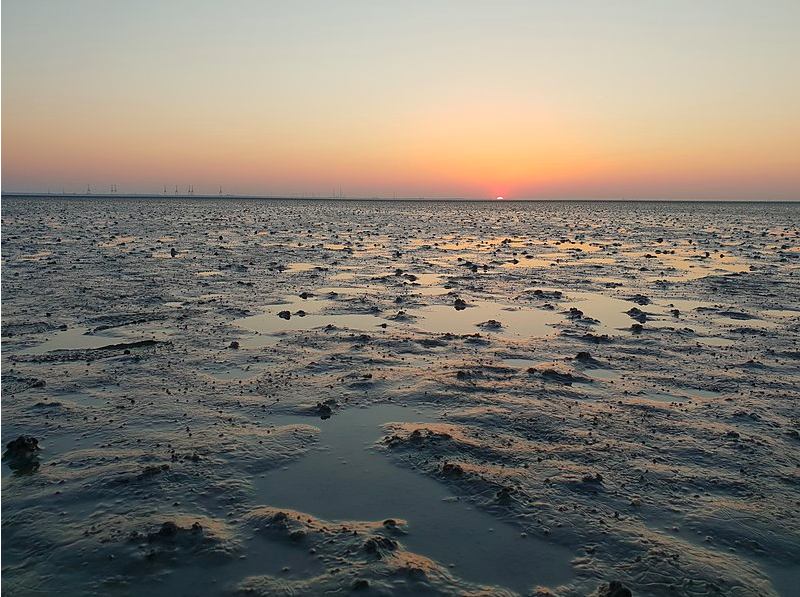 world-heritage-site-wadden-sea-in-the-netherlands