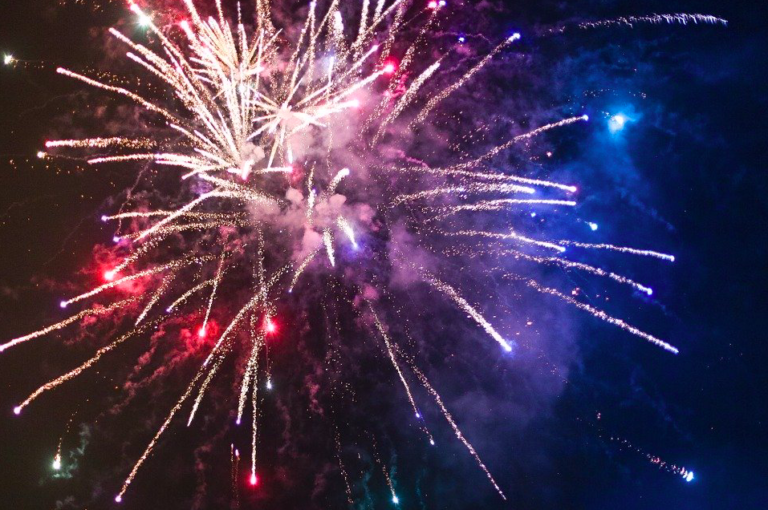 Majority in Lower House for putting an end to dangerous fireworks on New Year’s Eve