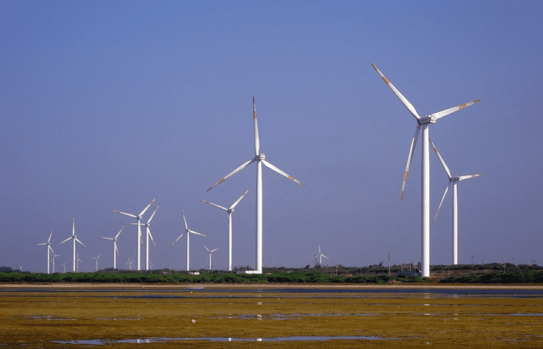 The Netherlands, land of windmills, uses the least renewable energy in the EU