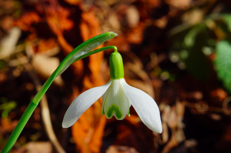 Record temperatures last weekend: Spring has arrived in the Netherlands
