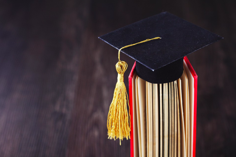 Dutch government to give tuition fee refund to students with a study delay caused by coronavirus
