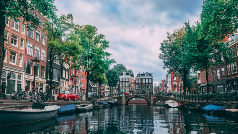 76% of Dutch people trust the government: new report shows biggest attitude shift in 12.5 years