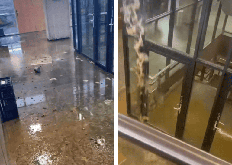 Sewer-nami: Students at TU Delft caught gross sewage avalanche on video