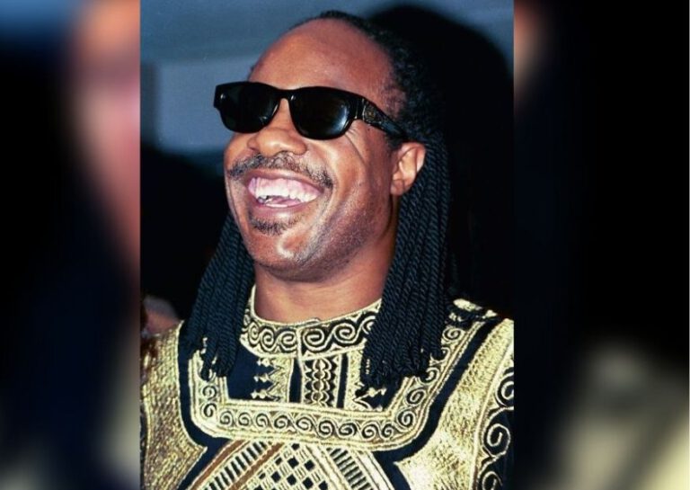 The Dutch invented glasses for the blind and even Stevie Wonder is impressed