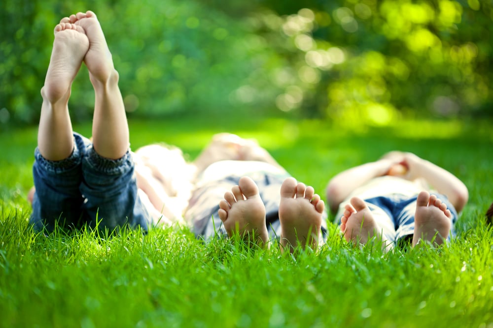 children-sunny-weather-grass