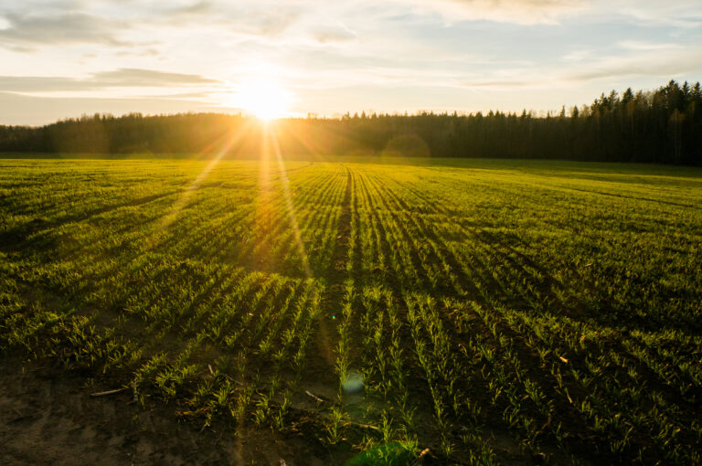 Warm, sunny weather to continue in the Netherlands!