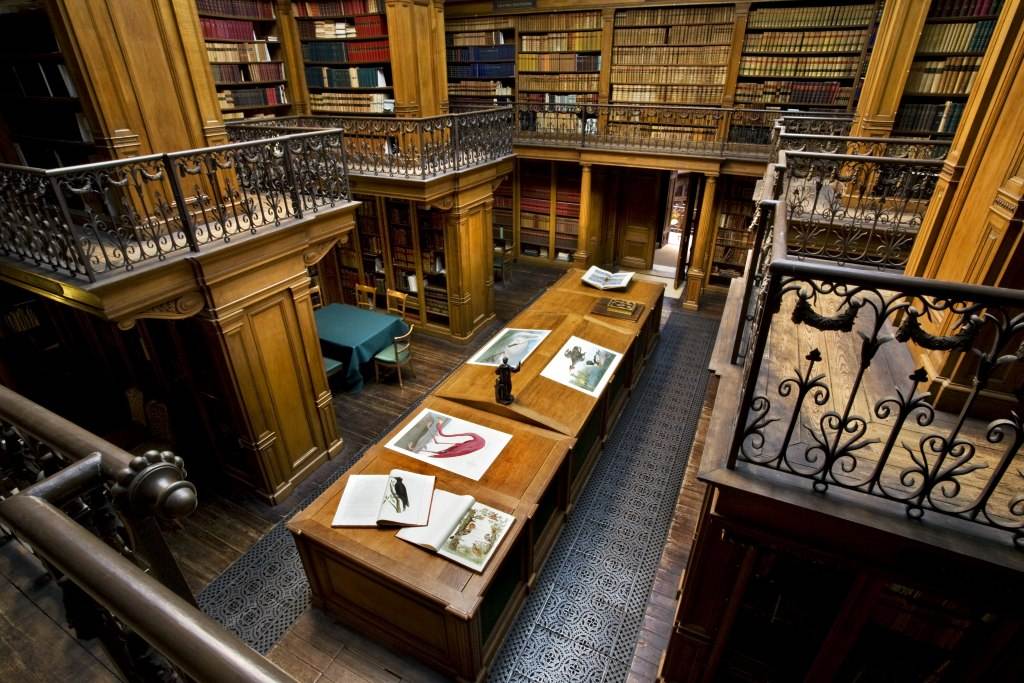 photo-of-library-at-teylers-museum-haarlem