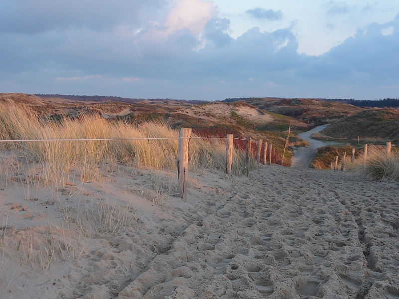 national parks in the netherlands