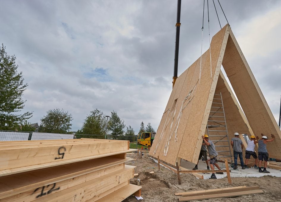 building a tiny house in the netherlands