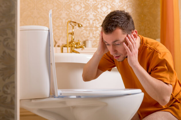 An expat asked about Dutch loos in a hilarious Reddit thread