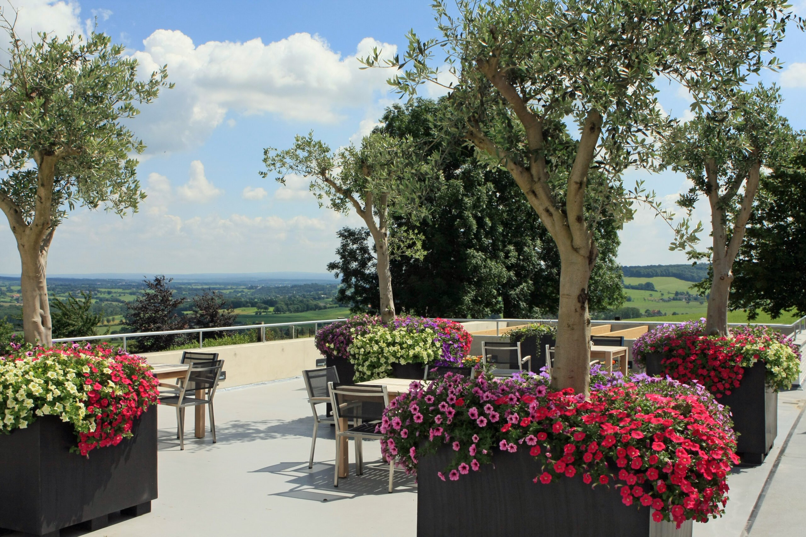 photo-of-outdoor-terrace-area-at-u-center-netherlands-with-green-trees-tables-seats-and-flower-bushes