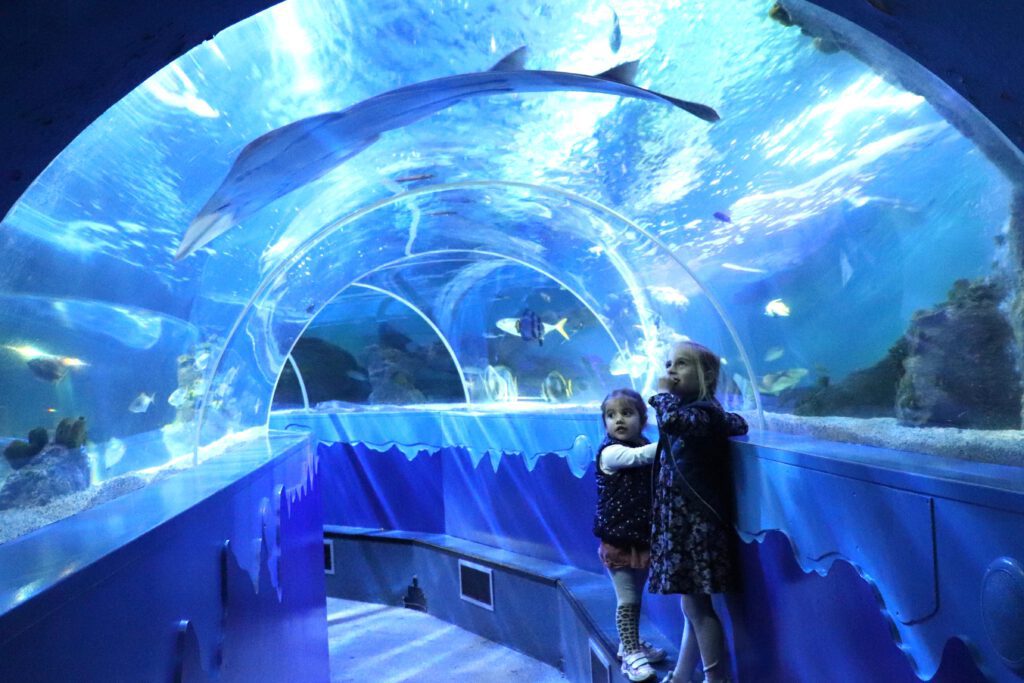 Underwater-tunnel-with-fish-and-kids-at-SEALIFE-Scheveningen-The-Hague