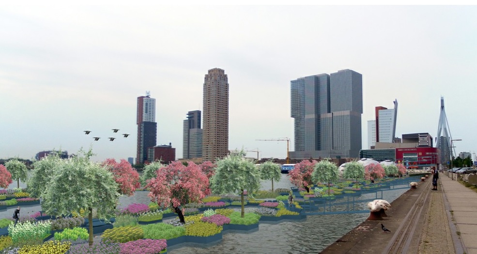 There's a new floating park in Rotterdam and it looks seriously cool ...