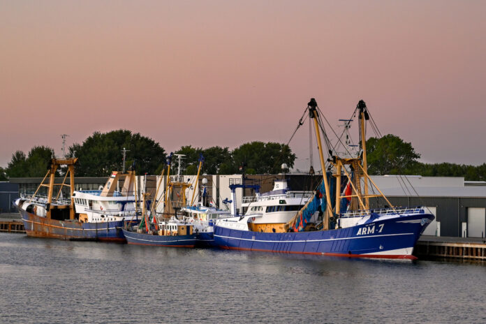 photo-of-several-boats-parked-at-a-port