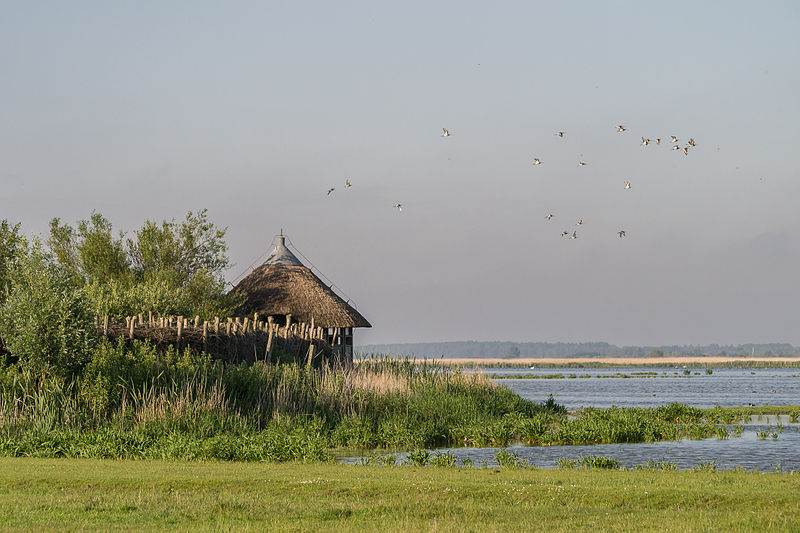 photo-of-bird-watching-hut-in-lauwersmeer-national-park-netherlands