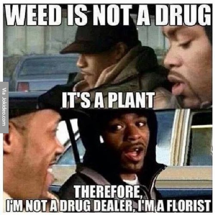 Weed-is-not-a-drug---meme – DutchReview