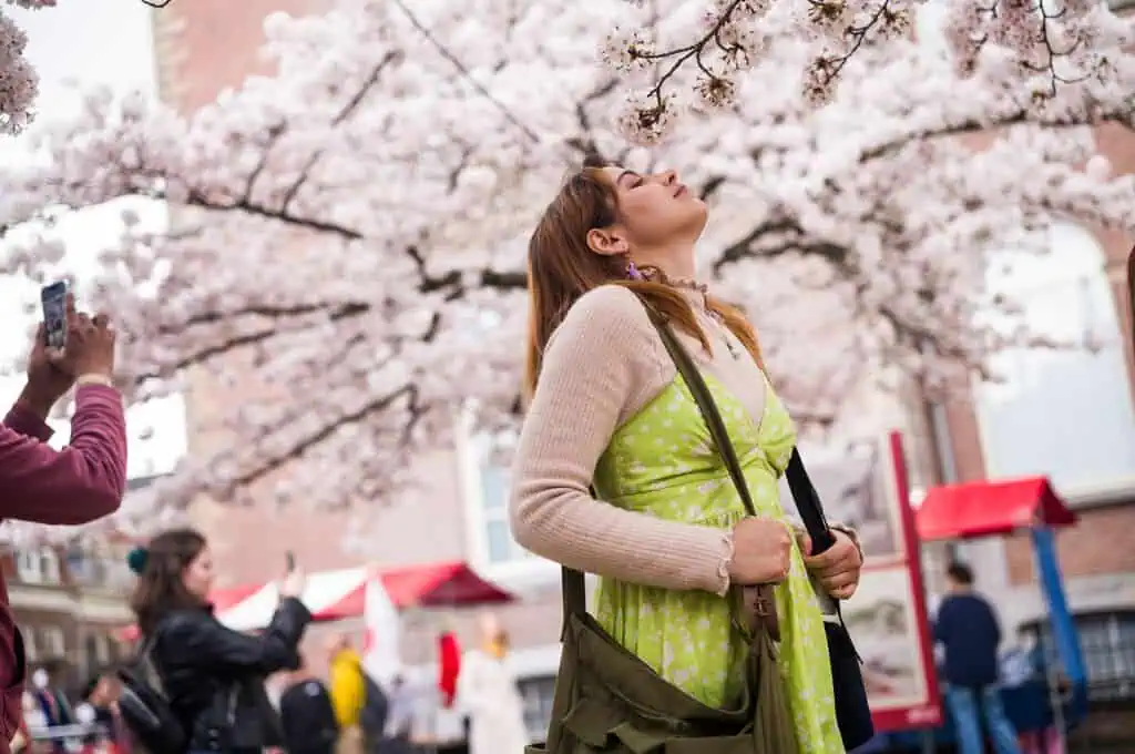 photo-of-woman-looking-up-at-cherry-blossom-trees-during-wereldmuseum-leidens-hanami-festival