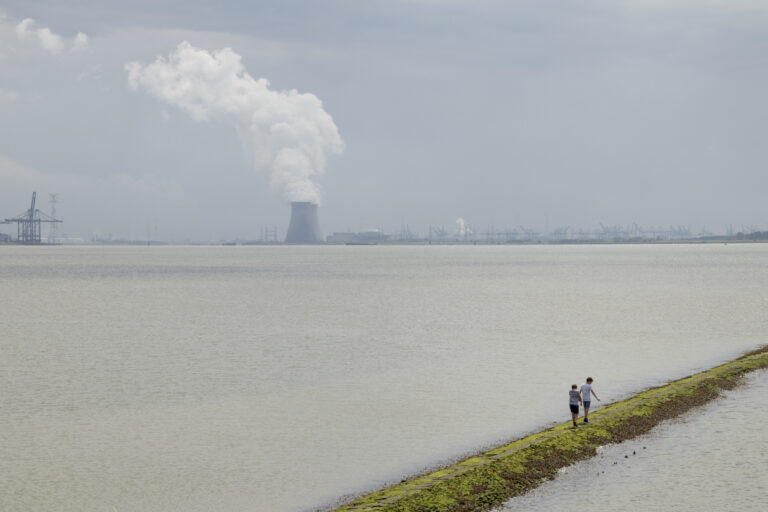 Pas op! RIVM says to avoid eating fish and shrimp from the Westerschelde area