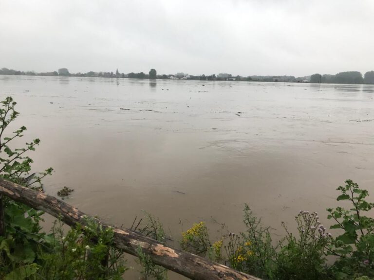 Dutch cabinet declares flooding in Limburg a disaster — see what’s happening in the area