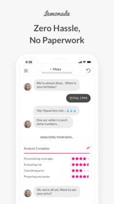 Lemonade: easy insurance for fresh-faced expats - DutchReview