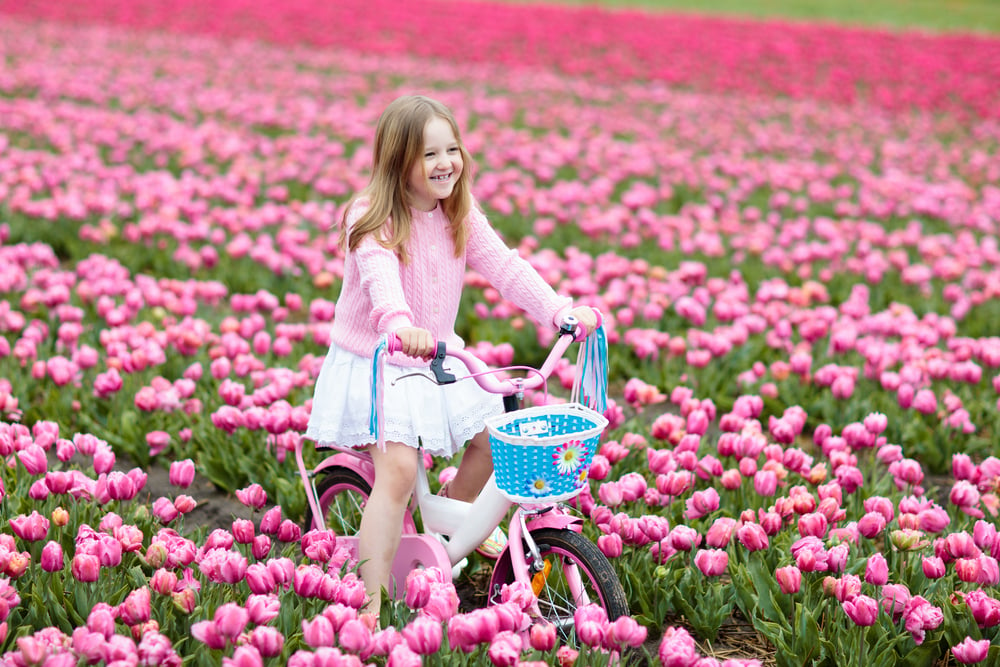 a-dutch-girl-cycling-through-a-field-of-pink-tulips