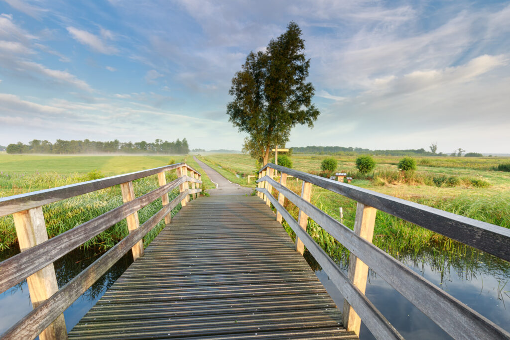 a-photograph-of-a-wooden-bridge-leading-to-a-grassy-meadow-with-a-walking-path-in-groningen