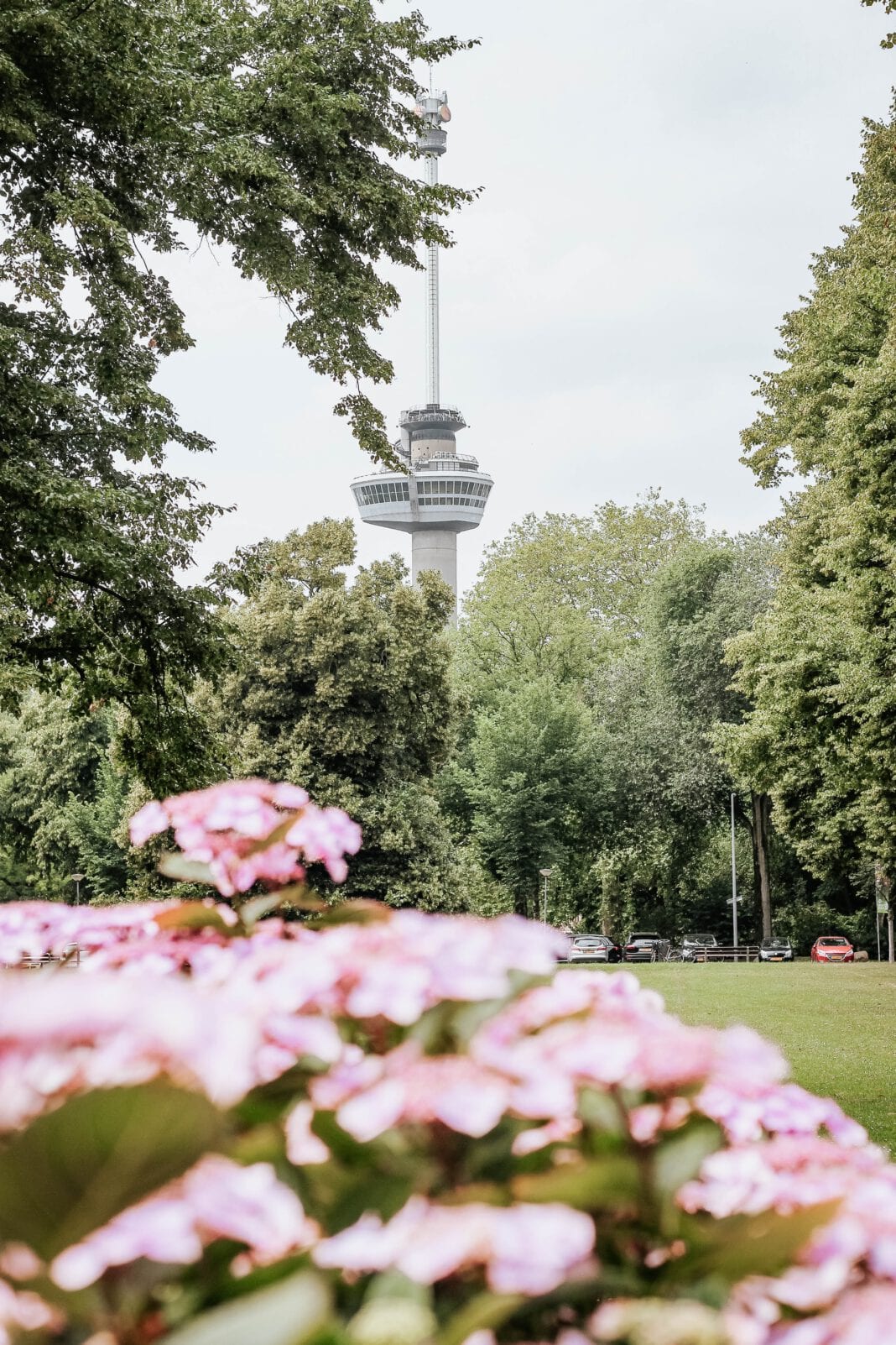 Hikes and walks in Rotterdam 12 places for the perfect nature escape