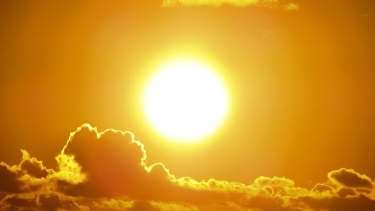 2019 was the third-warmest year in the history of the Netherlands