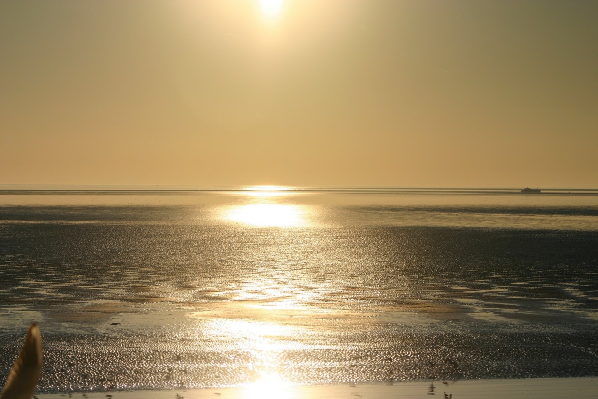 sun-setting-over-beach-on-ameland-a-dutch-wadden-island
