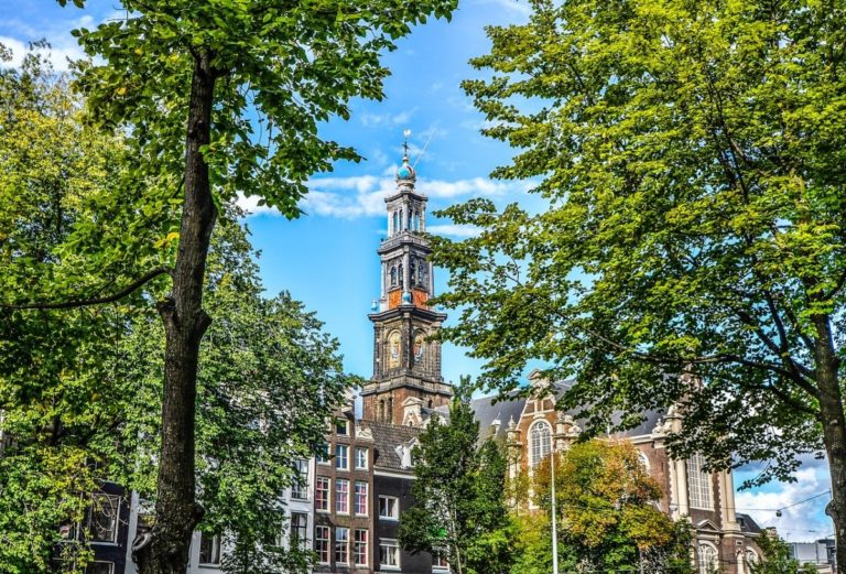 amsterdam-tower-in-greenery