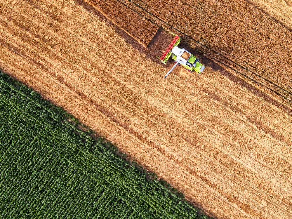 aerial-photo-of-agriculture-field