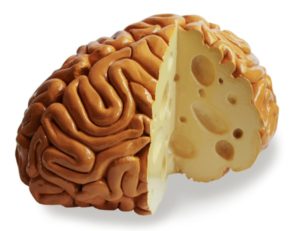 asnaghi-maasdammer-cheese-brain