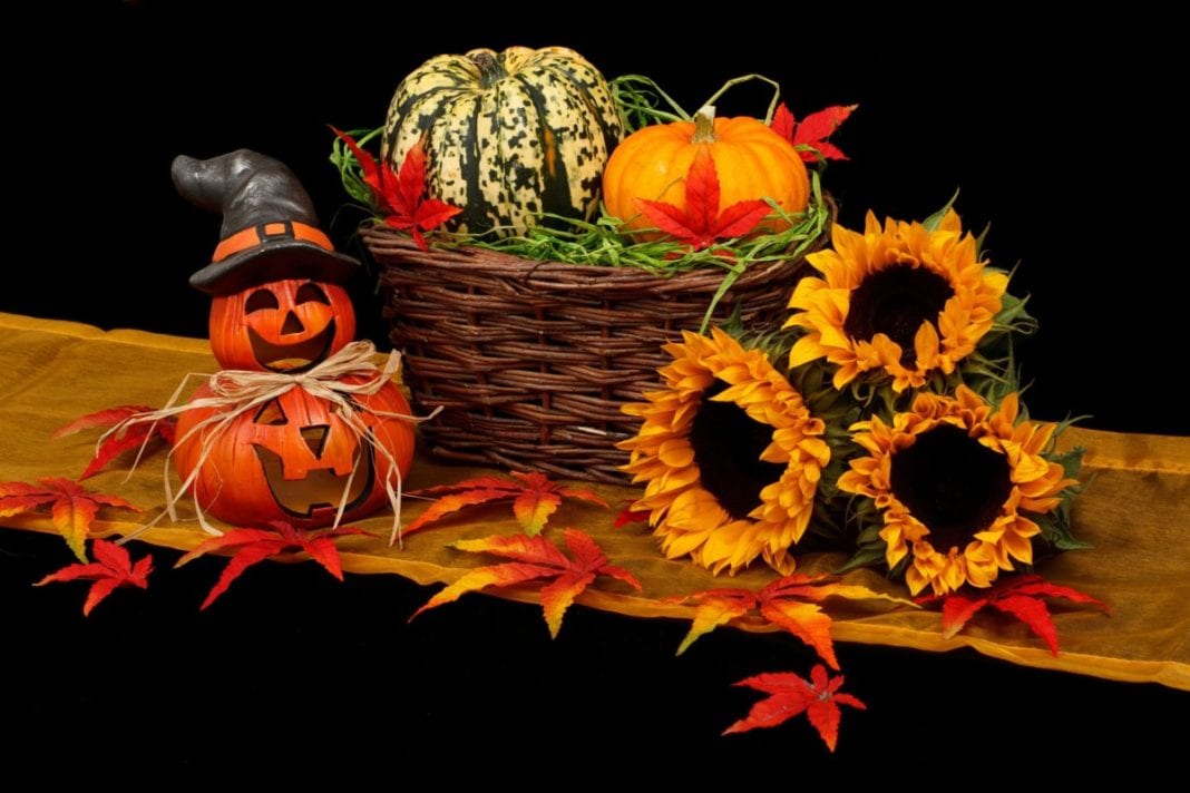 halloween in the netherlands