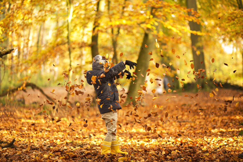 photo-child-playing-with-leaves-in-haarlem-during-autumn