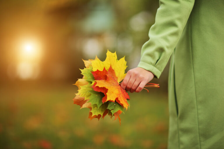 Farewell summer — autumn is about to arrive in the Netherlands