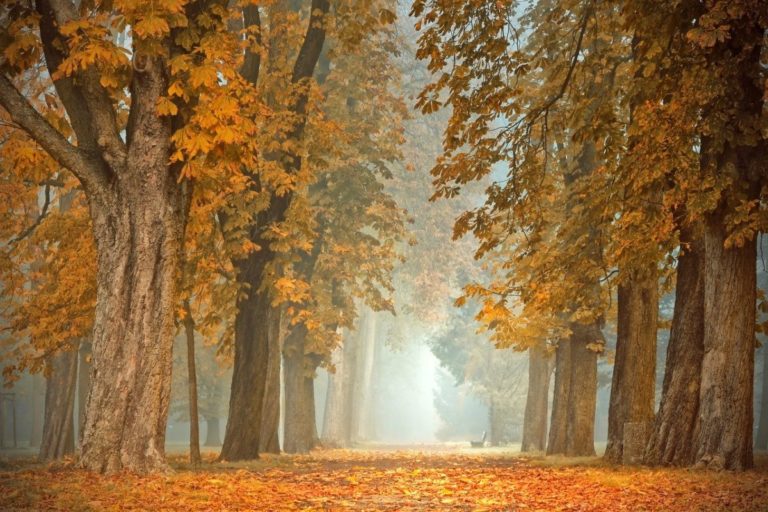 Weather report: A mixed bag (once again) of showers and sun