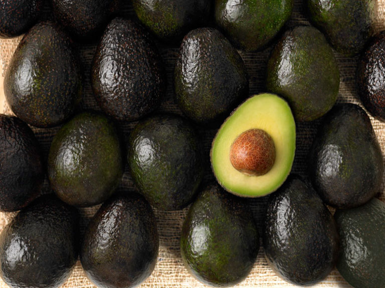 There’s An Avocado Restaurant In Amsterdam Opening And People Are Losing Their Sh*t