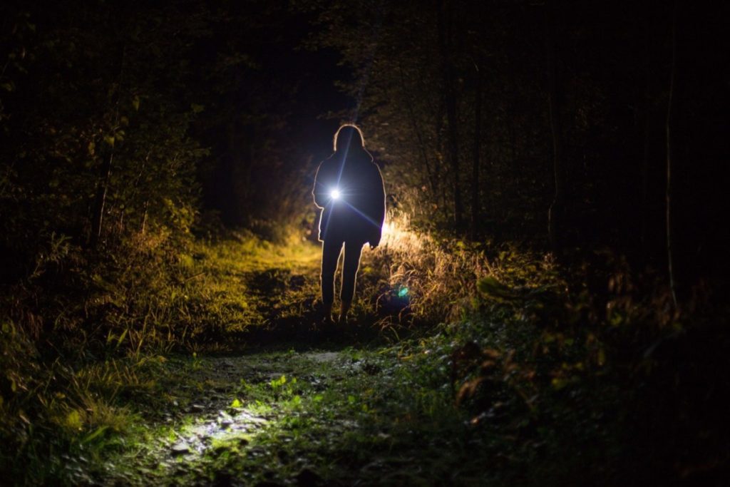 Child in forest with flashlight