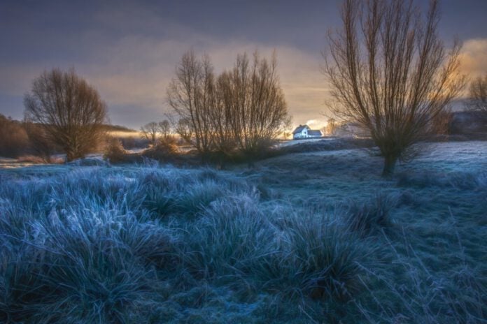 frosty countryside grass
