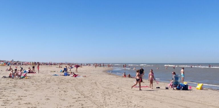 Heatwave incoming: hottest weather of 2020 arrives in the Netherlands
