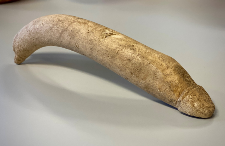 Archaic 20cm-long Roman penis statue discovered in dusty old box