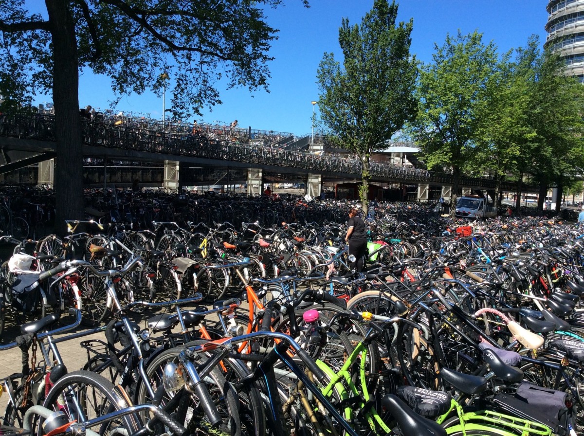 The World's Largest Bicycle Parking Lot Opened in Utrecht – DutchReview