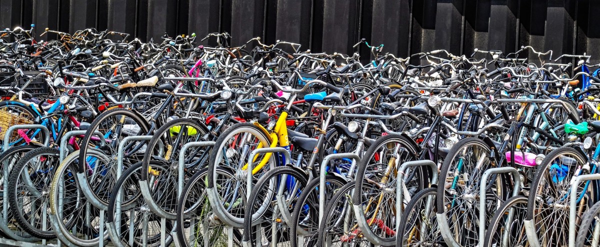 bikes in the netherlands