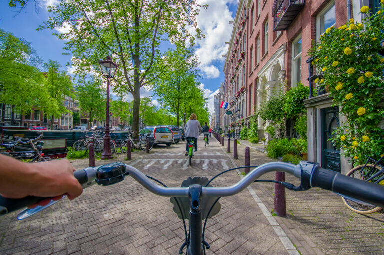 E-bikes made up more than half all bicycle sales in the Netherlands last year