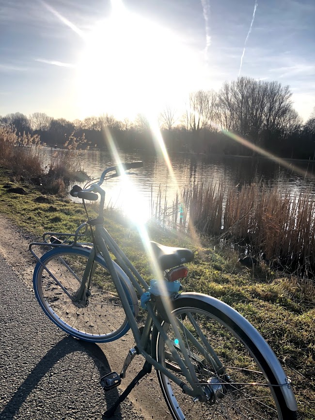 The Dutch and their bikes