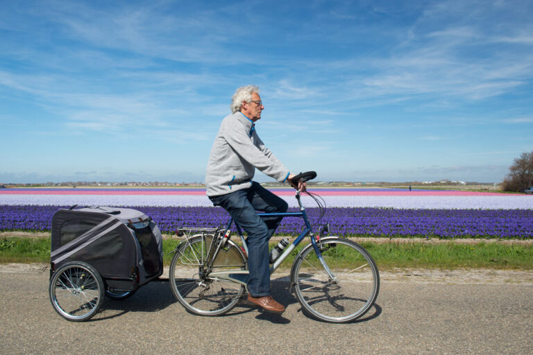 5 reasons the Dutch cycle without bike helmets